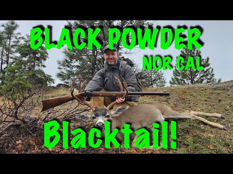Видео: Ни дульнозарядное ружье Cal B Zone Blacktail!