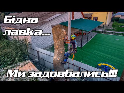 Видео: Ясен в дуже тісних умовах
