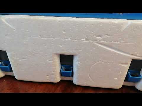 Видео: Инкубатор Умница.Отвечаю на вопросы.