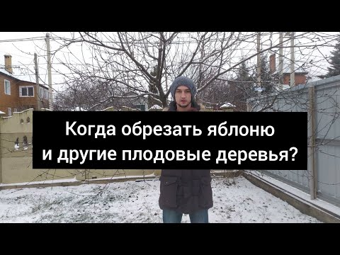 Видео: Сроки обрезки яблони и других плодовых деревьев.