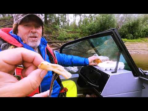 Видео: Тюменский спиннинг 2021 Тавда