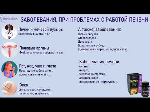 Видео: 🌿 GEPO Line – поддержка здоровья печени. Состав; Расторопша. Лецитин. Топинамбур