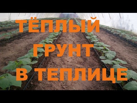 Видео: Тёплый грунт в Теплице