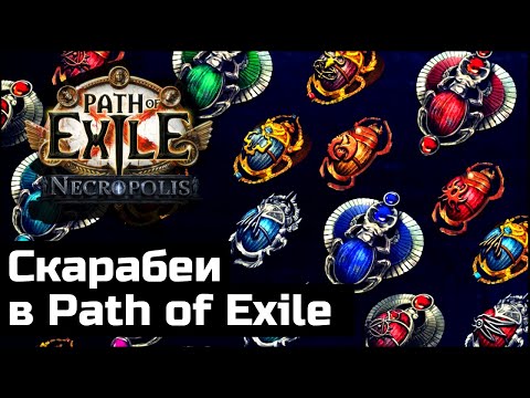 Видео: Новые скарабеи в Path of Exile | Что бы пофармить