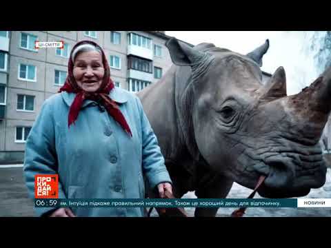 Видео: ЖЕСТЬ! 🤯 ОСЬ ЩО ВЖЕ НАВЧИВСЯ РОБИТИ ШТУЧНИЙ ІНТЕЛЕКТ!