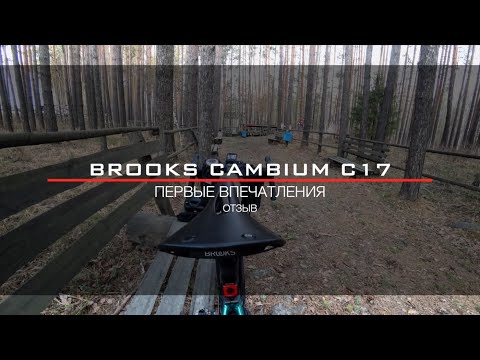 Видео: Brooks Cambium C17 Carved на Pride Rocx 8.2 (2020): отзыв после 280 км