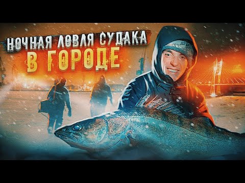 Видео: Каждый так может! НОЧНАЯ ЛОВЛЯ СУДАКА В ГОРОДЕ! Ловля на вибы.