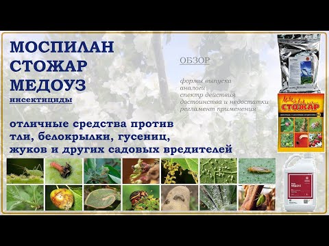 Видео: Моспилан, Стожар и Медоуз - отличные средства против разнообразных садовых вредителей. Обзор 2025г.