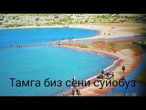 Видео: ,,ТАМГА"
