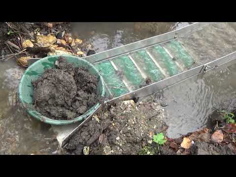 Видео: В этом ручье встречается платина!!! Довольно крупная...