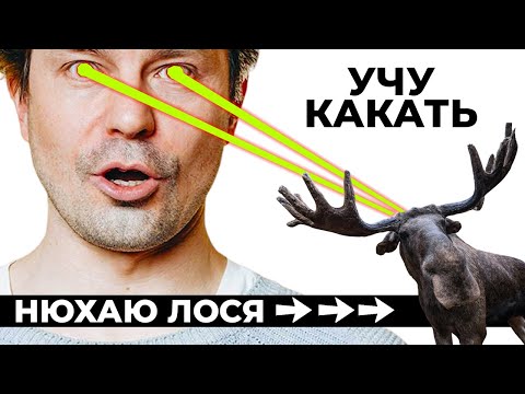 Видео: 4 ДНЯ В ГАМАКЕ в Карелии. ОНИ Говорили, что моя спина развалится, НО...