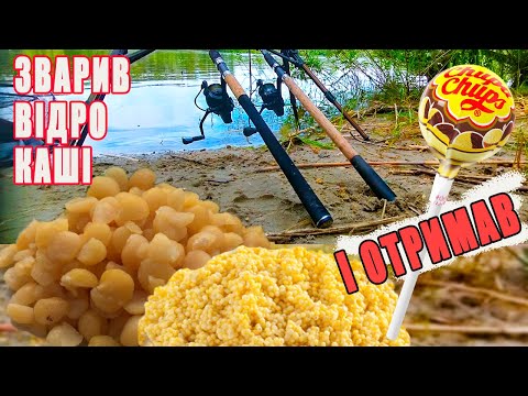 Видео: "СОСАМБА" на ДНІПРІ 🤣  Або ЖИРНА ПЛОТВА стала на ГОРОХ / Фідерна рибалка з Kruchkoff