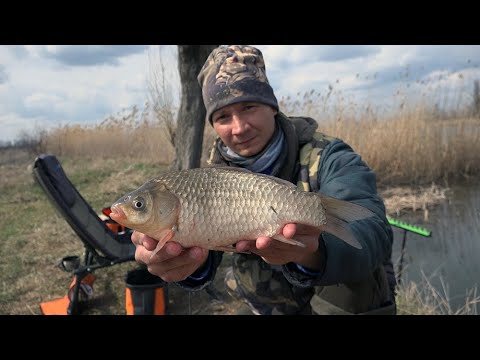 Видео: ВЕСНА 2021 РЫБАЛКА НА КАРАСЯ, ЛОВЛЯ НА ФИДЕР НА ДИКОМ ВОДОЁМЕ