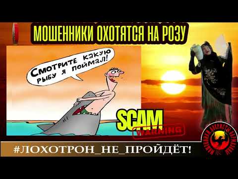 Видео: Наталья Рамирес🔥✅МОШЕННИКИ ОХОТЯТСЯ НА РОЗУ! 🔴 РАЗВОД ПО ТЕЛЕФОНУ, СКАМ, ТРОЛЛИНГ.
