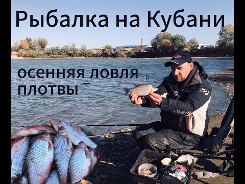 Видео: Рыбалка на Кубани. Осенняя ловля крупной плотвы.