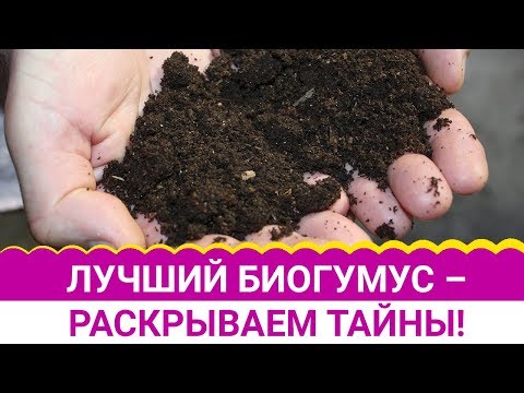 Видео: Лучший биогумус – раскрываем тайны!