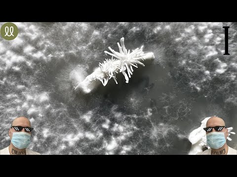 Видео: КЛОНИРОВАНИЕ - ЧАСТЬ №1: использование пинцета, техники и прочее.