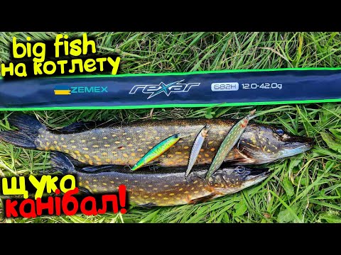 Видео: ПРОДОВЖУЄМО!😀Осіння Щука КАНІБАЛ і Це Факт!😱Вересень / Чим і Якими Воблерами я Ловлю Пасивну Щуку