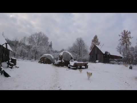 Видео: Наши куры. Как мы защищаем кур от хищников.