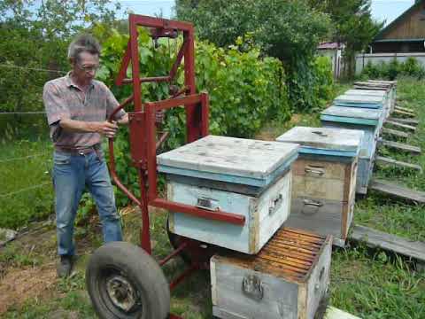 Видео: апилифт работа на пасеке.