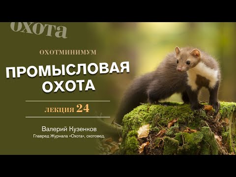 Видео: Охотминимум. Лекция 24. Промысловая охота. Лекция эксперта-охотоведа