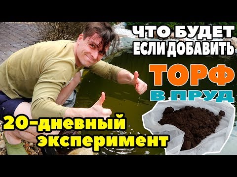 Видео: ПОМОГАЕТ ЛИ ТОРФ В БОРЬБЕ С ЦВЕТЕНИЕМ ВОДЫ: 20-ДНЕВНЫЙ ЭКСПЕРИМЕНТ