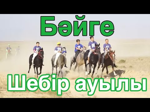 Видео: Бәйге 01.10.2023 Шебір ауылы
