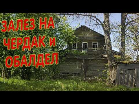 Видео: 300 ЛЕТ ЭТО БЫЛО ЗДЕСЬ,  УДИВЛЕНИЮ НЕ БЫЛО КОНЦА, ТАКИЕ НАХОДКИ В ЗАБРОШКЕ ТОЛЬКО В МУЗЕЙ