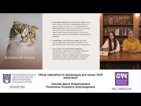 Видео: Обзор гайдлайна по вакцинации для кошек 2020 AAHAAAFP