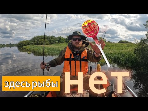 Видео: Здесь рыбы нет! Волхов.
