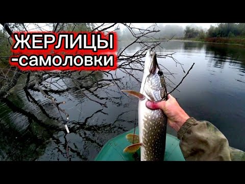 Видео: Проверка ЖЕРЛИЦ-САМОЛОВОК. Как всегда выручают! Рыбалка на малой реке