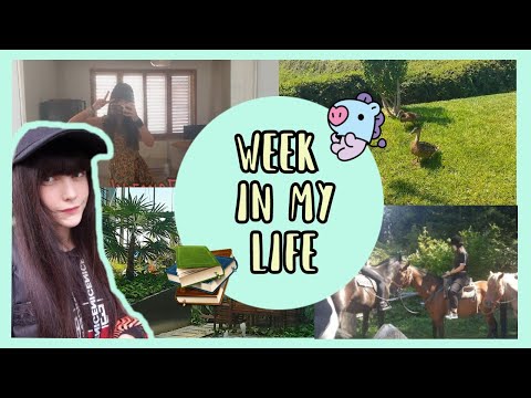 Видео: Тренирам като к-поп идол| Седмица в живота ми| Rose&Peach