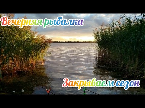 Видео: Рыбалка Погорье 3. Закрытие сезона.