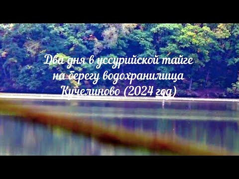 Видео: Два дня в Уссурийской тайге на берегу водохранилища Кучелиново  сентябрь 2024 года