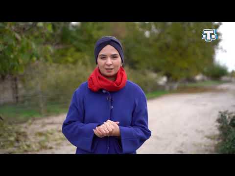 Видео: Тарих излери. Маре кою.