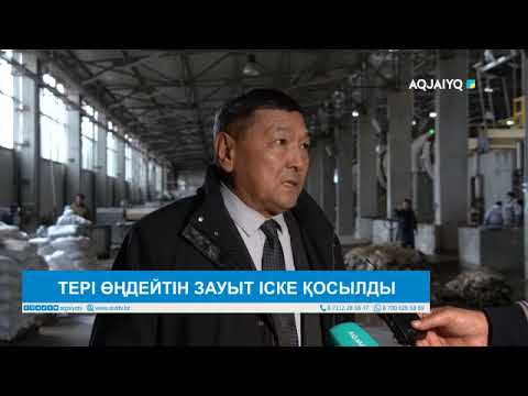 Видео: ТЕРІ ӨҢДЕЙТІН ЗАУЫТ ІСКЕ ҚОСЫЛДЫ