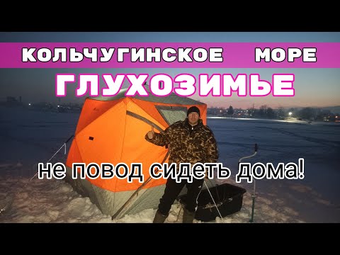 Видео: #Кольчугино.Такой Улов бьёт все рекорды! Зимняя рыбалка на водохранилище.