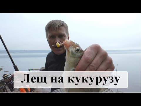 Видео: Фидер. Отличная рыбалка на фидер. Лещ на кукурузу. Жор леща. Рыбалка на Суходольском озере.