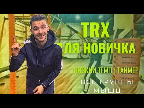 Видео: TRX Тренировка ДЛЯ НОВИЧКОВ. На все тело.