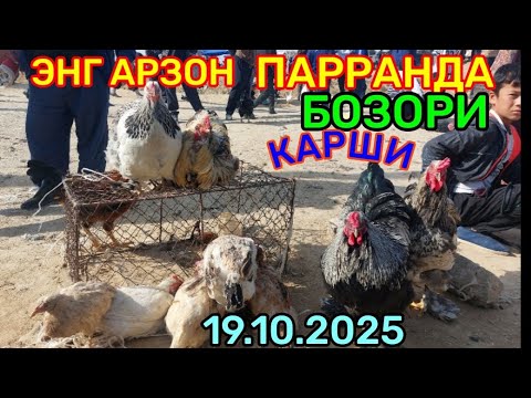 Видео: 19.10.2025 ПАРРАНДАЛАРНИ АРЗОНЛАРИДАН КАРШИ КАРВОН МОЛ БОЗОРИДА 