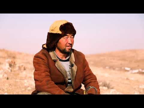 Видео: Таубаласы