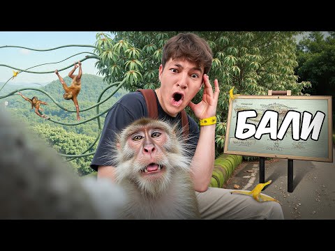 Видео: УЗБЕК И СКАЗАЧНОЕ БАЛИ ( + ответы на вопросы )