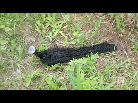 Видео: Кастинговая сеть в деле!