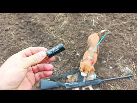 Видео: Подранков не оставляю ☝️