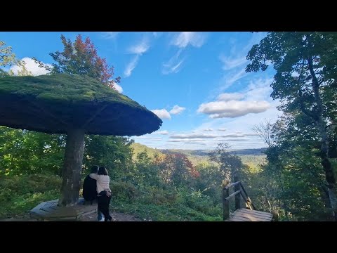 Видео: 🔴 Топ-9 мест для осенней прогулки в Сигулде. Латвия✅ЛАТВИЯ НА ВЫХОДНЫЕ с ВЛАДИМИРОМ ВОЛОШИНЫМ