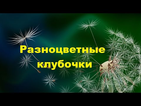 Видео: Из остатков пряжи.Вязаные подушки.(2023г)