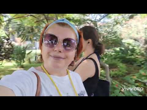 Видео: Весь Фуншал на туристическом автобусе. Океан. Гуляем) 