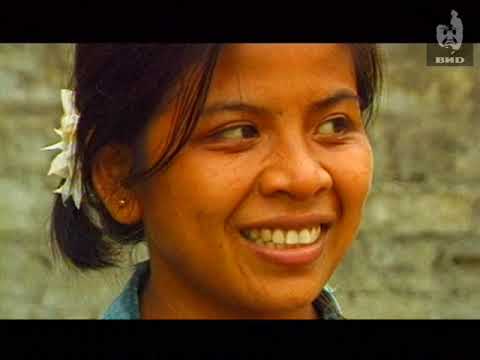 Видео: Непутевые заметки (2002) 28.07.2002