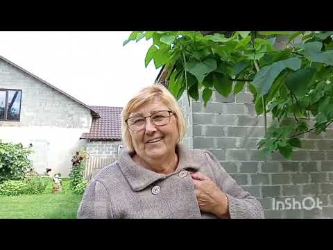 Видео: В нас  похолодало# маю на замовлення два ящики персиків # і яблука вродили.