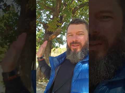 Видео: ЭФИР ОТ СТАРЦА ГАВРИИЛА !!!